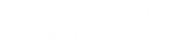 Volkswagen Group France